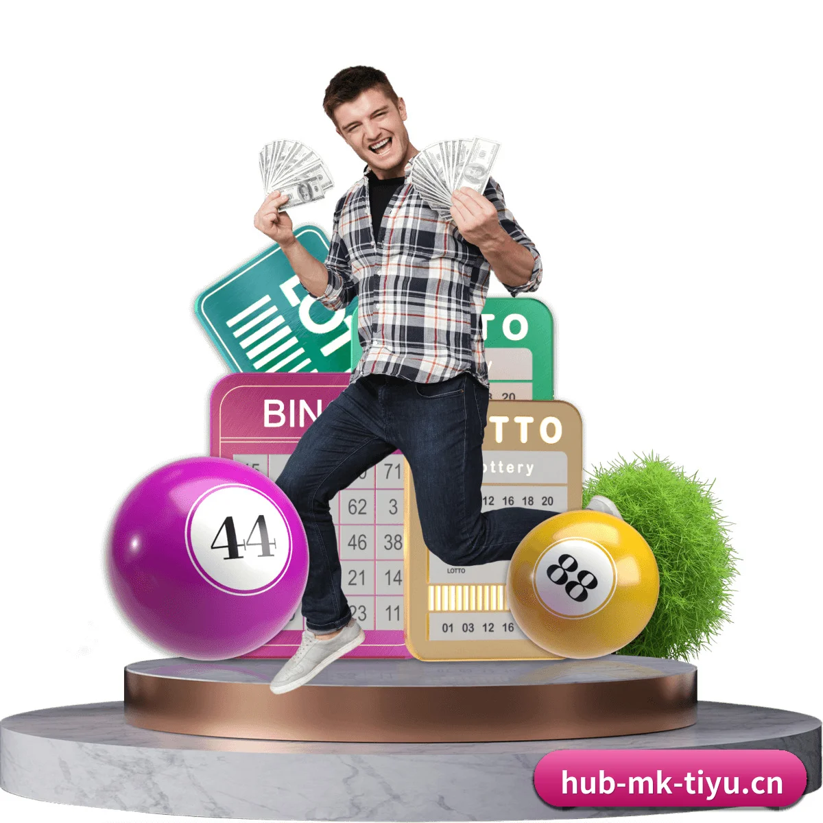 MK体育 APP